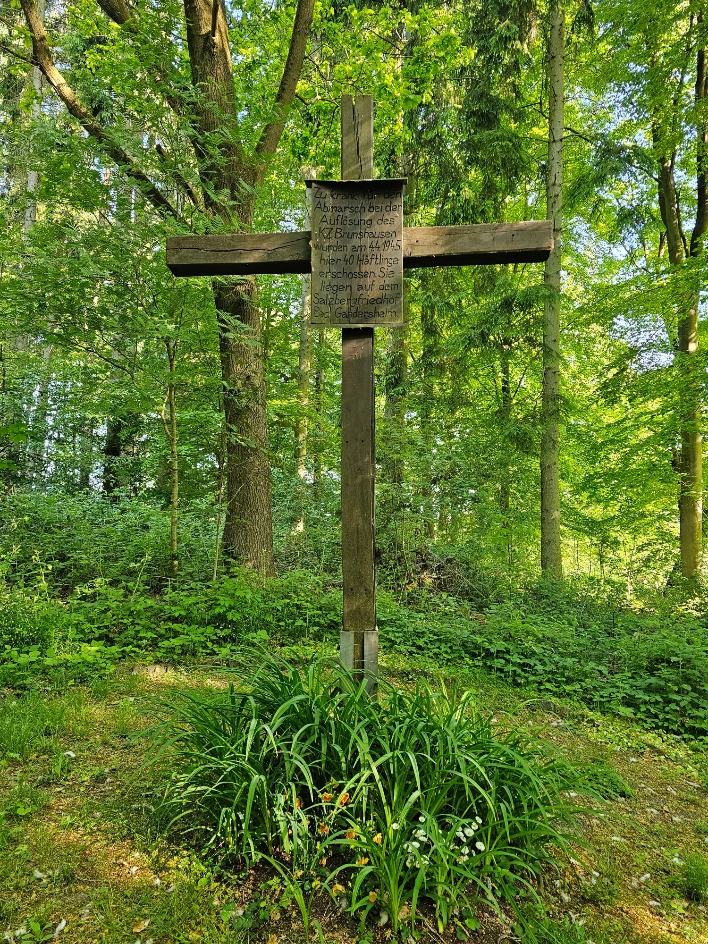 Das Gedenkkreuz im Cluser-Wald, 2025. Foto: Tanja Bobinac