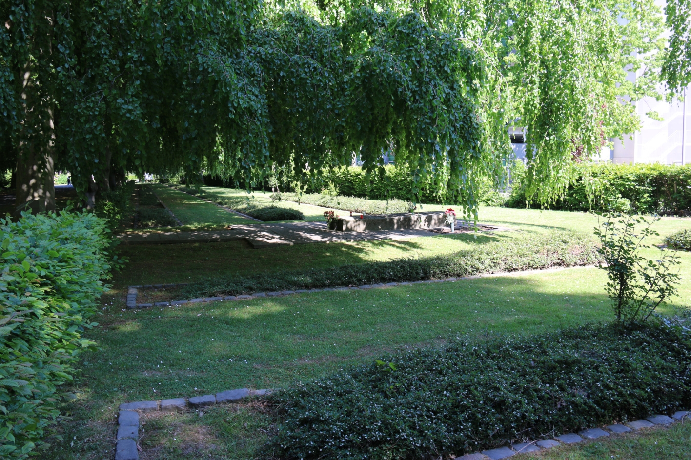 Feld 19 als Teil des Gemeinschaftsgrabmals von NS-Opfern auf dem Hauptfriedhof am Freigrafendamm, 2025. Foto: Markus Lutter