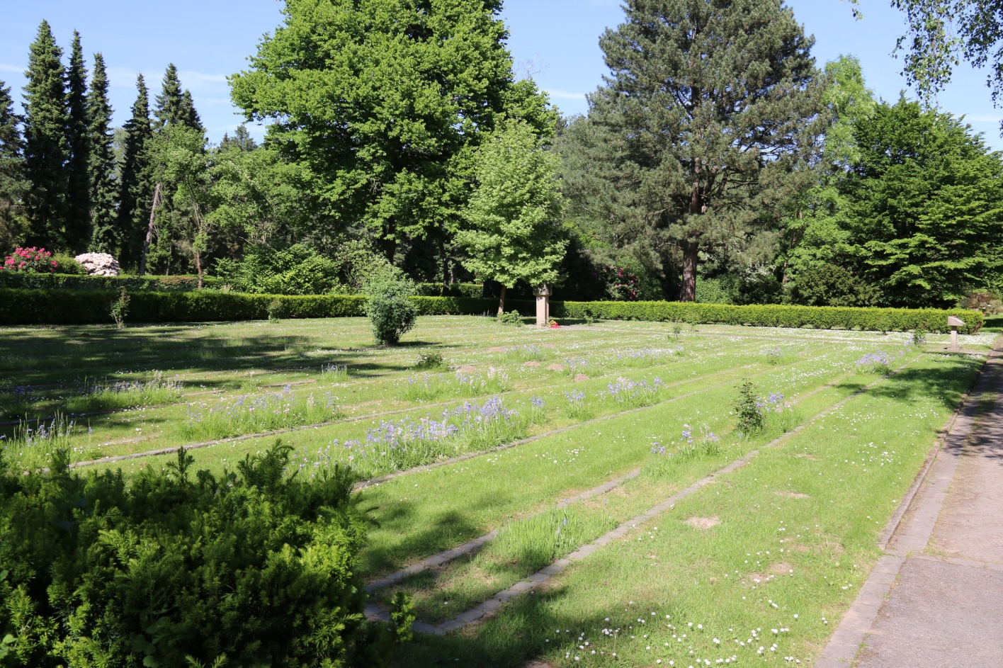 Feld 34 als Teil des Gemeinschaftsgrabmals von NS-Opfern auf dem Hauptfriedhof am Freigrafendamm, 2025. Foto: Markus Lutter