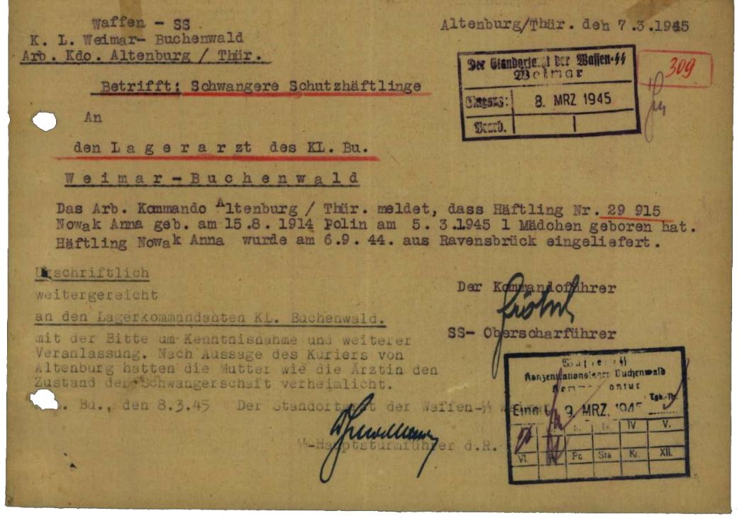 Meldung des Kommandoführers aus Altenburg an den Lagerarzt des KZ Buchenwald, 7. März 1945. Er meldete die Geburt eines Kindes. Die polnische Mutter Anna Nowak hatte die Schwangerschaft mit Unterstützung der Häftlingsärztin bis zur Geburt verheimlichen können. Mutter und Tochter überlebten und kehrten nach Polen zurück.