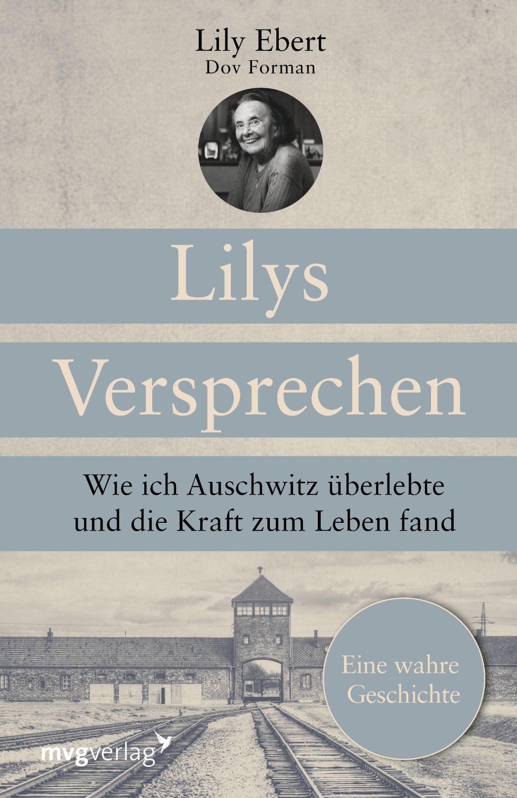 Buchcover: Lilys Versprechen