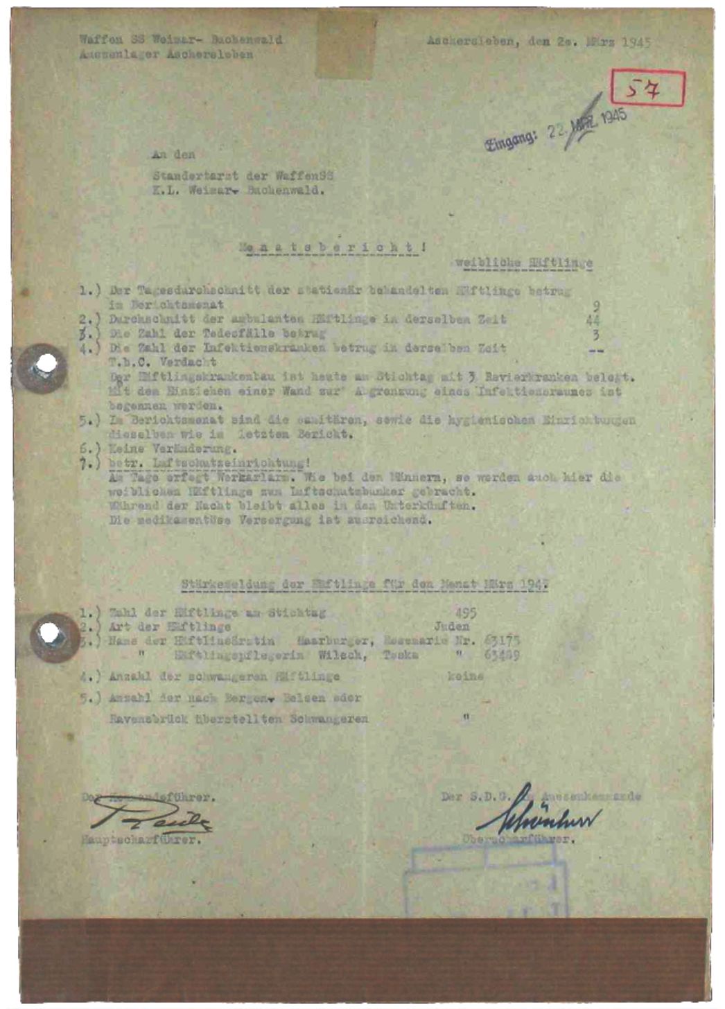 Monatsbericht des SS-Sanitäters Max Schönherr über die medizinische Versorgung im Frauenaußenlager Aschersleben, 20. März 1945. Er berichtete über die Zahl kranker Häftlinge, die Todesfälle und die hygienischen Bedingungen im Lager.