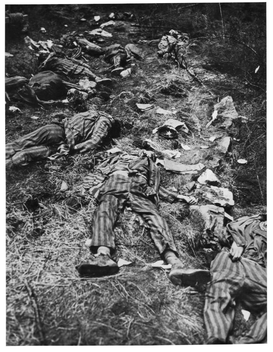 Von den SS-Begleitmannschaften am 6. April nahe Clausthal-Zellerfeld ermordete Häftlinge, 21. April 1945. Foto: Edward A. Norbuth (U.S. Army Signal Corps)