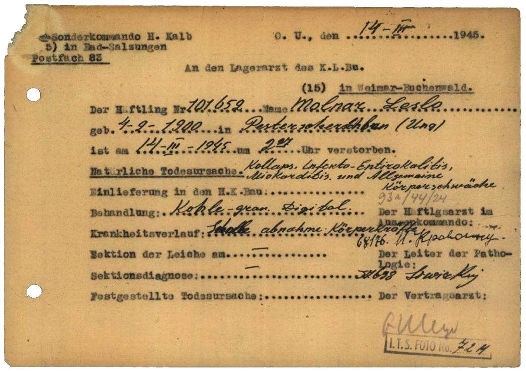 Vom Häftlingsarzt und Häftlingspfleger unterschriebene Meldung über den Tod des ungarischen Häftlings László Molnár, 14. März 1945. Der 44-jährige Familienvater aus Kecskemét starb in der Nacht zum 14. März an vollständiger Entkräftung.