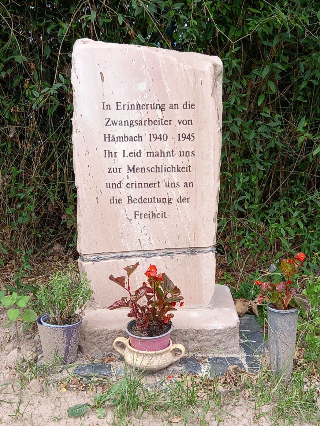 Gedenkstein in Hämbach, 2025. Foto: Stefan Lochner