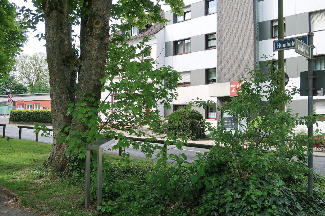Hinweistafel über die Existenz des KZ-Außenlagers an der Humboldtstraße/Ecke Regenbogenweg. Hinweistafel über die Existenz des KZ-Außenlagers an der Humboldtstraße/Ecke Regenbogenweg, 2025. Foto: Jonas Hübner