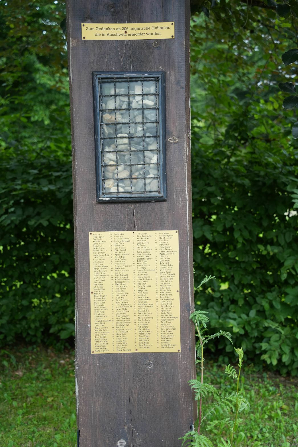 Stele zum Gedenken an 206 ermordete ungarische Jüdinnen in Auschwitz-Birkenau neben dem Gedenkstein für die Zwangsarbeiterinnen und Zwangsarbeiter der ehemaligen Sprengstofffabrik in Hirschhagen, 2025. Foto: Karl-Heinrich Schlegel