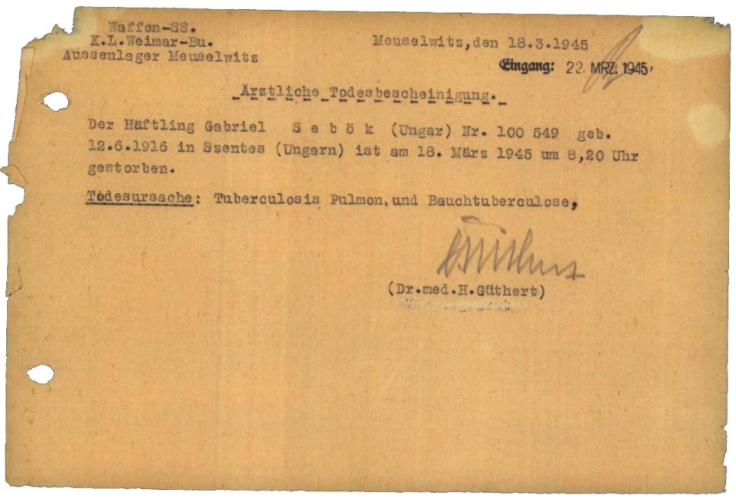 Vom Vertragsarzt Dr. Güthert unterzeichnete ärztliche Todesbescheinigung für den 28-jährigen Gábor (hier fälschlich Gabriel) Sebök aus Ungarn, 18. März 1945. Als Todesursache wurde Lungentuberkulose festgestellt.