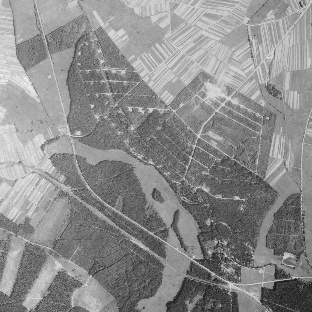 Das Gelände der Munitionsanstalt (Muna) der Luftwaffe in Crawinkel. Aufnahme der alliierten Luftaufklärung, 9. Juni 1945 (Ausschnitt). Die weißen Punkte im bewaldeten Gelände zeigen die oberirdischen Munitionsbunker. In einigen Dutzend von ihnen waren die Häftlinge des Teillagers Crawinkel seit Januar 1945 untergebracht.