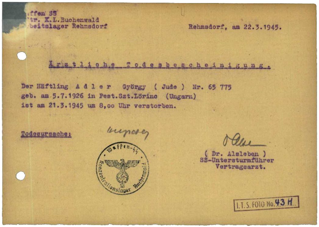 Ärztliche Todesbescheinigung für György Adler aus Pesterzsébet, einem Stadtviertel von Budapest, 22. März 1945. Der 18-jährige Student starb am 21. März 1945 in Rehmsdorf. Als Todesursache wurde Herzversagen festgestellt. Dr. Alsleben, der Vertragsarzt der SS für das Außenlager „Wille“, unterzeichnete die Bescheinigung.
